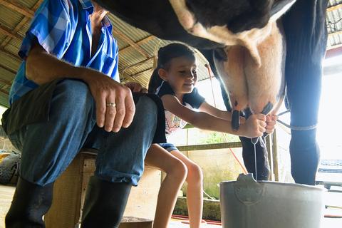 Sloth Territory and Campesino Tour Costa Rica